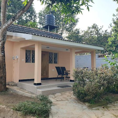 Alison & Dave'S Guesthouse Entebbe Exterior foto